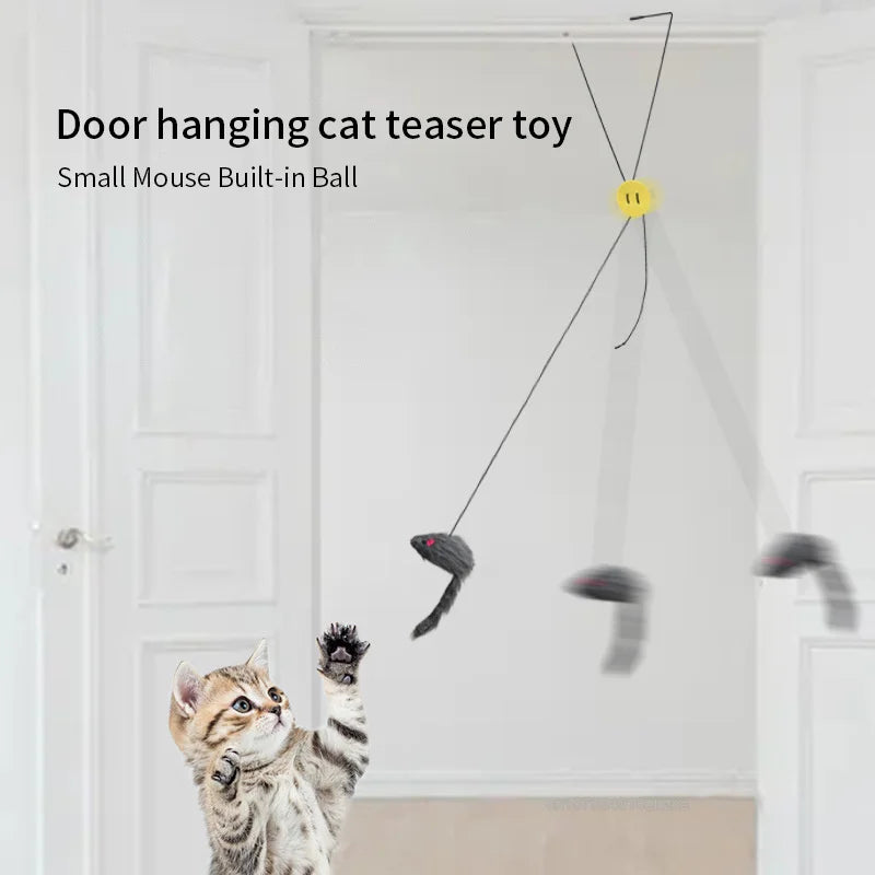 Kattenspeeltjes met stuiterbal – Onvoorspelbare beweging