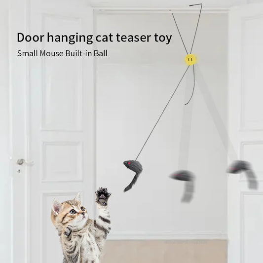 Kattenspeeltjes met stuiterbal – Onvoorspelbare beweging
