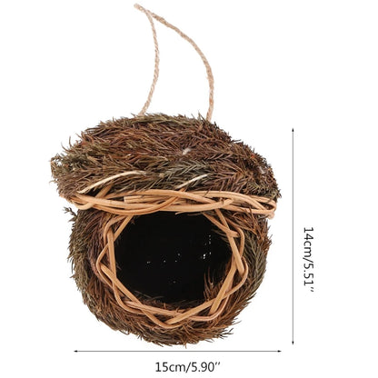Vogelhuisje kopen als kinderproject – Leerzaam en leuk