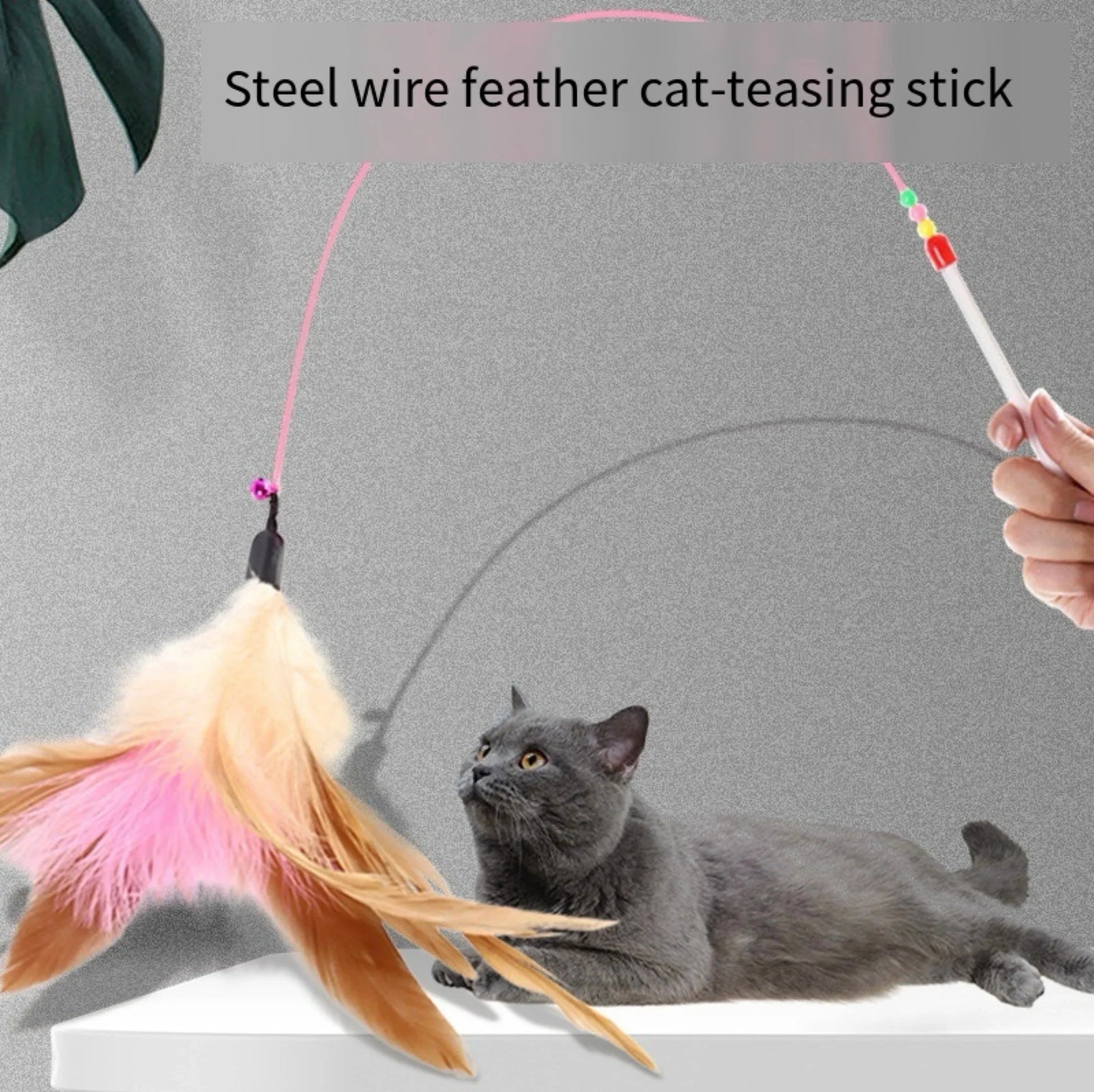 Kattenspeeltjes Action top 5 – Meest geliefd