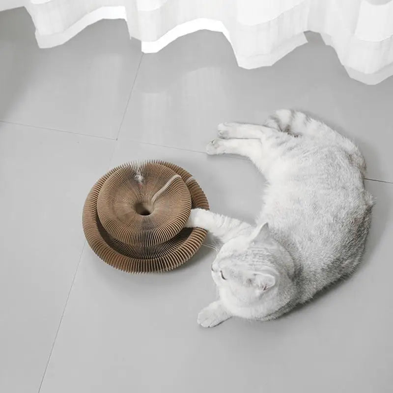 Kattenmeubel in Scandinavisch design – Stijlvol en praktisch