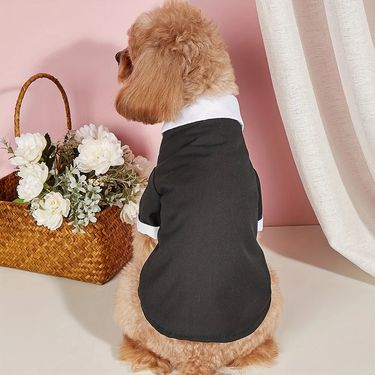 Cadeaupakket hond verjaardag – Compleet en feestelijk