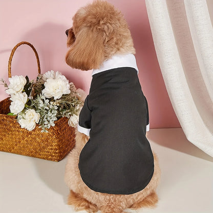 Cadeaupakket hond verjaardag – Compleet en feestelijk
