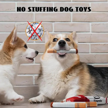 Cadeau voor hond en baas – Samen genieten
