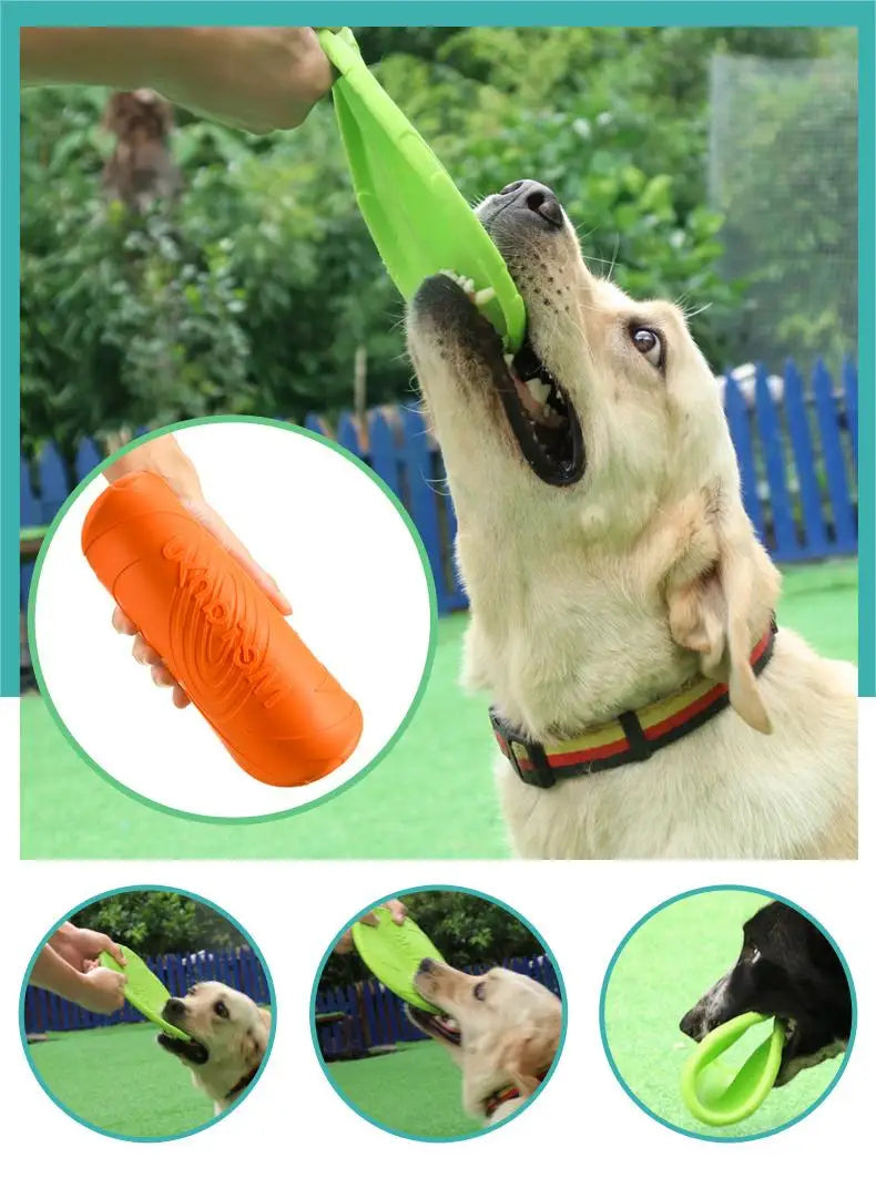 Cadeau hond verjaardag compleet – Van snacks tot speeltjes