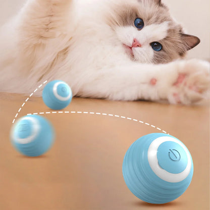 Leukste kattenspeeltjes met lichtgevende effecten – Voor nachtkatten