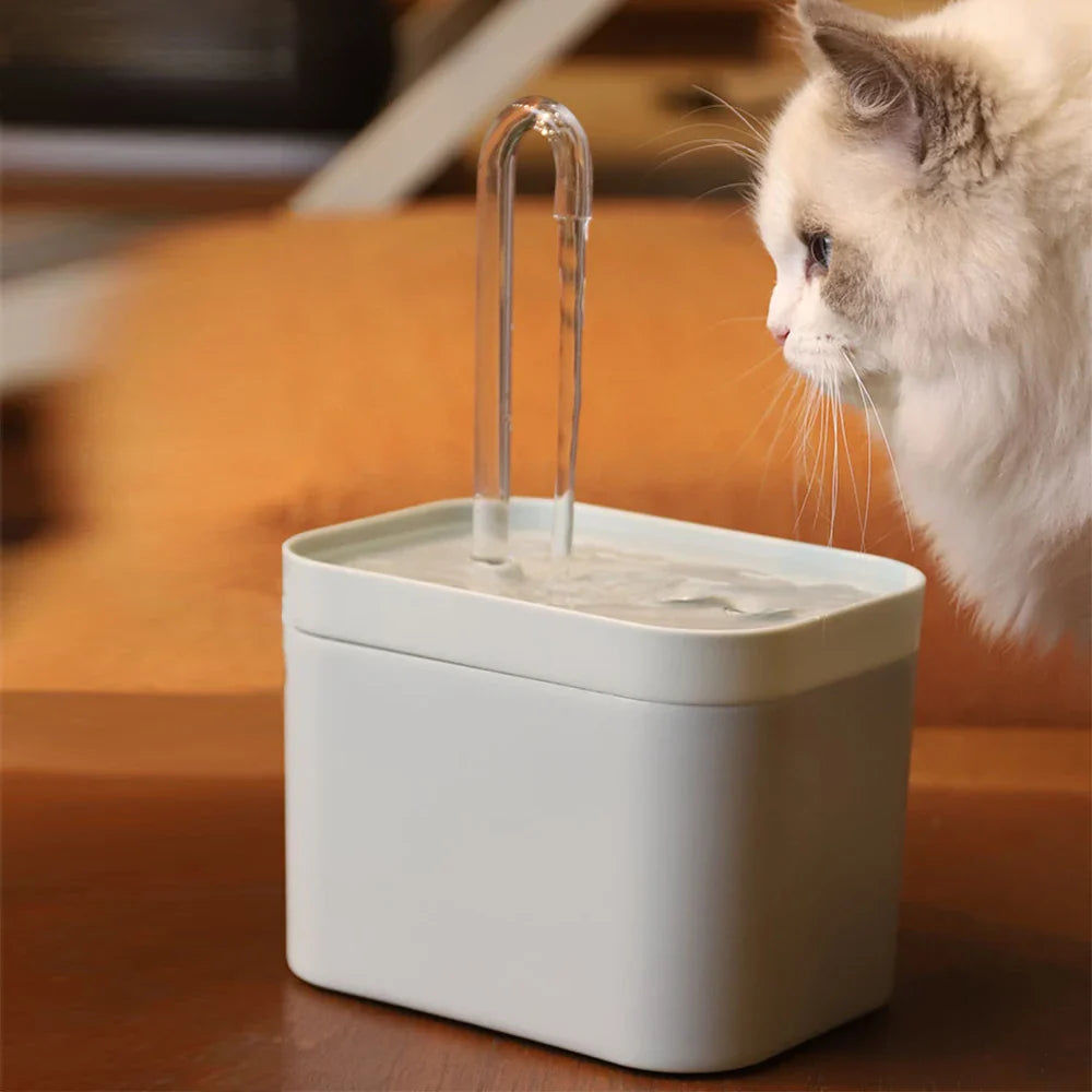 Fontein kat met vervangbare filters – Altijd schoon water