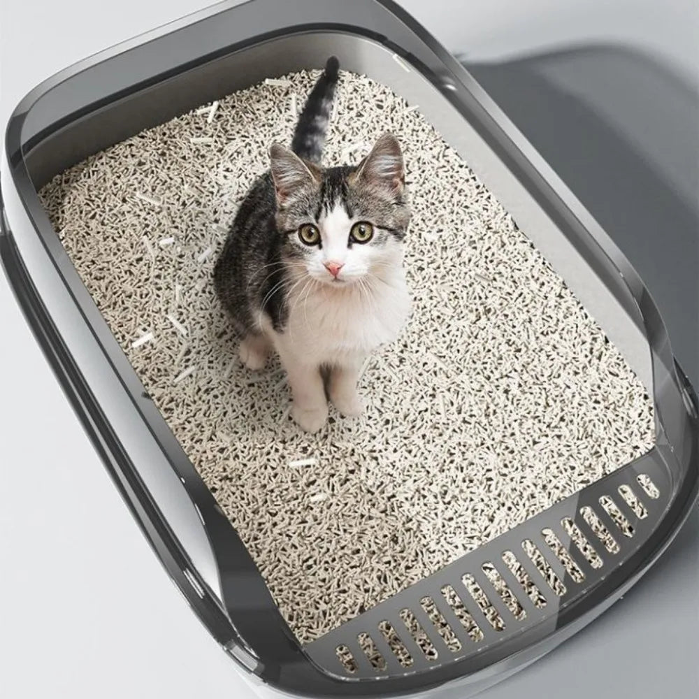 Kattenbak kopen inclusief schep – Alles wat je nodig hebt