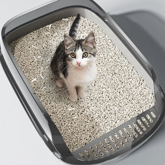 Kattenbak kopen inclusief schep – Alles wat je nodig hebt