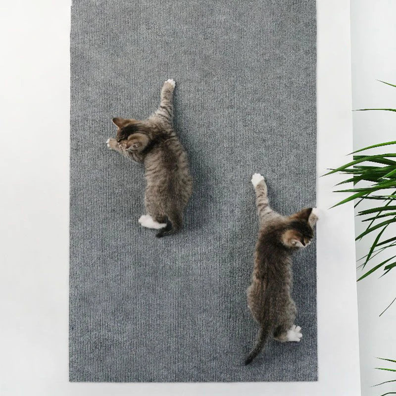 Krabpaal voor zware katten – Extra stabiel en groot