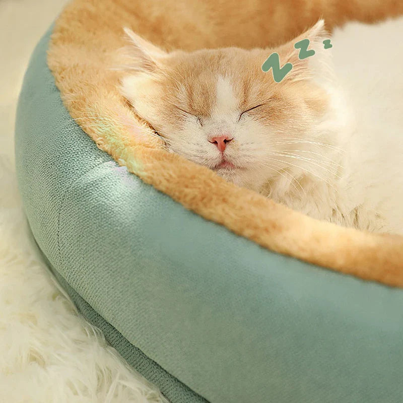 Grote kattenmand geschikt voor meerdere katten – Delen met maatjes