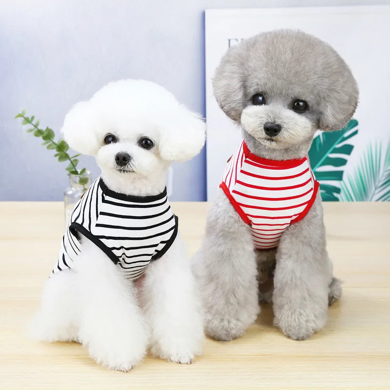 Verjaardagscadeau hond met naam – Gepersonaliseerd plezier