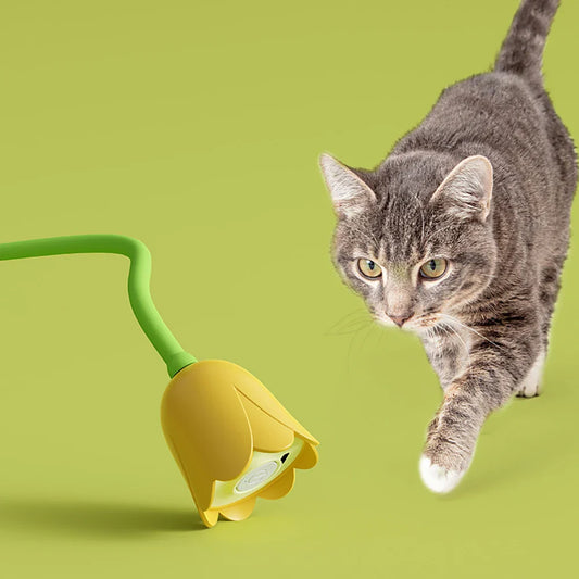 Kattenspeelgoed met pluche staart – Aantrekkelijk voor jachtgedrag