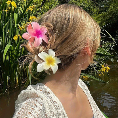 Trendy haarklemmen in verschillende maten