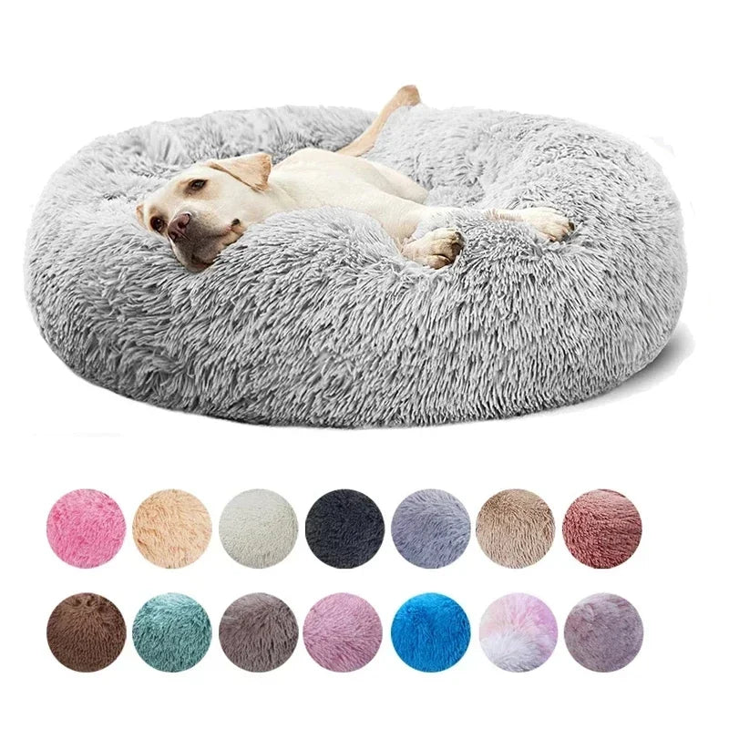Cadeautips hond verjaardag – Inspiratie voor je beste vriend