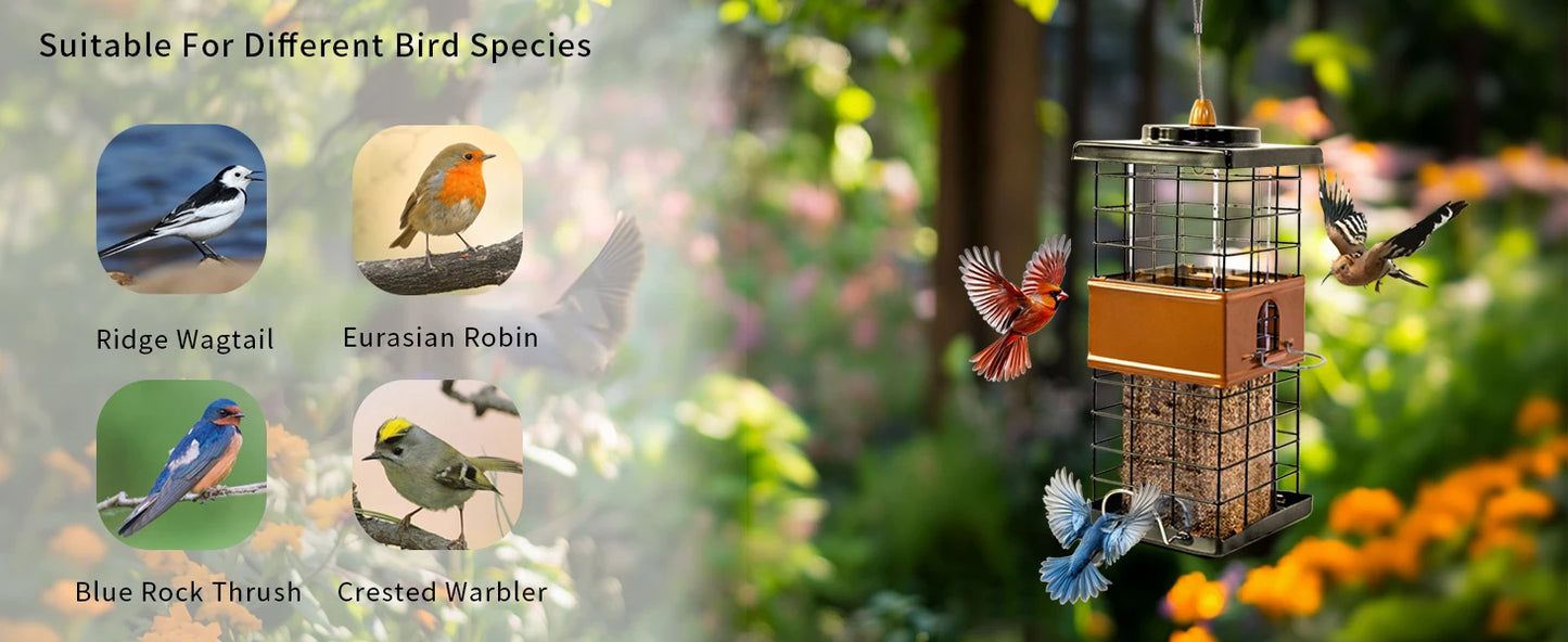 Intratuin vogelhuisje groot – Voor meerdere vogels