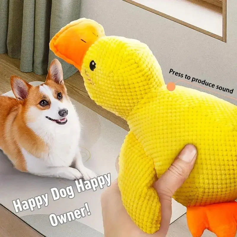 Cadeau voor hond en baas gepersonaliseerd – Lief en leuk