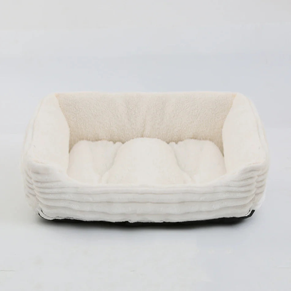 Kattenmand Action met comfortabel ligvlak – Simpel en doeltreffend