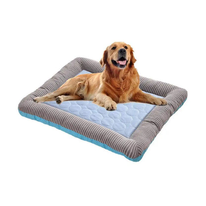 Welkoop mand voor middelgrote hond – Comfort en pasvorm