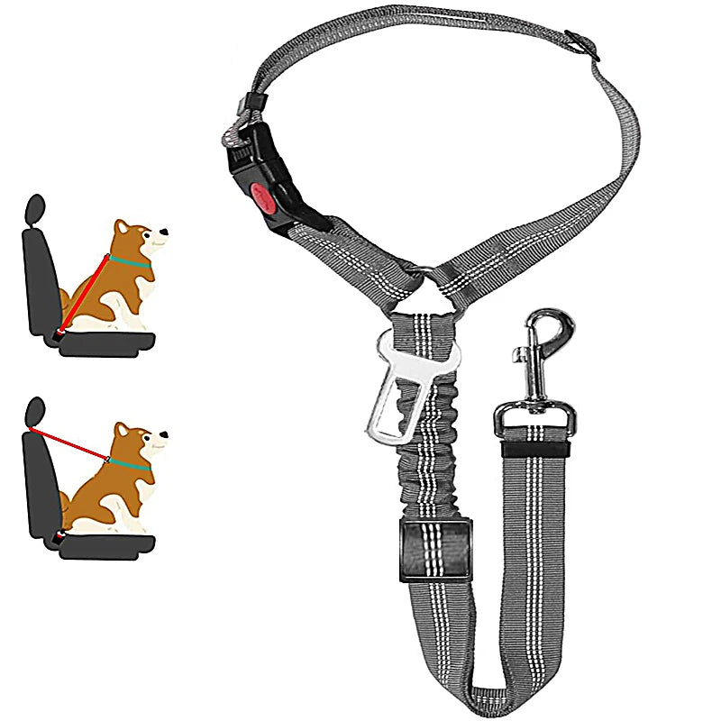 Tuigje voor sportieve honden – Flexibel en licht