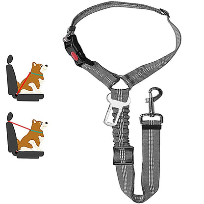 Tuigje voor sportieve honden – Flexibel en licht