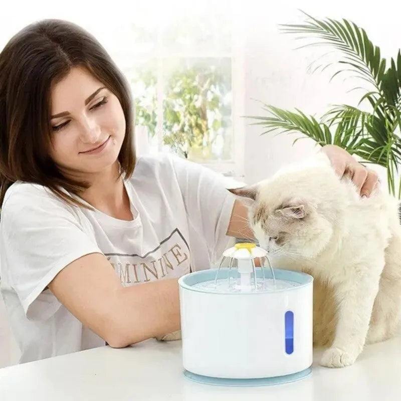 Fonteintje voor kat met stille waterloop – Zacht geluid