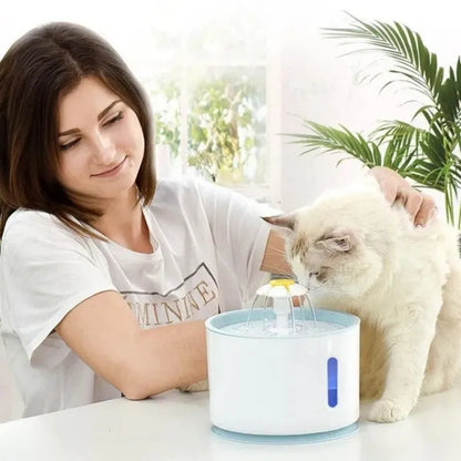 Fonteintje voor kat met stille waterloop – Zacht geluid