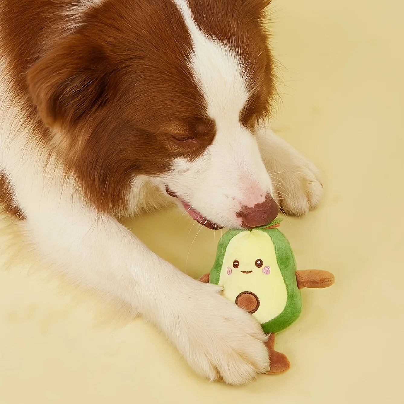 DIY cadeau voor hond – Zelfgemaakt en liefdevol