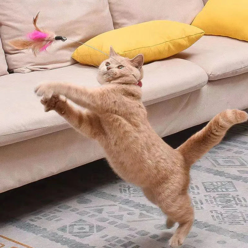 Kattenspeeltje met catnip – Extra aantrekkelijk