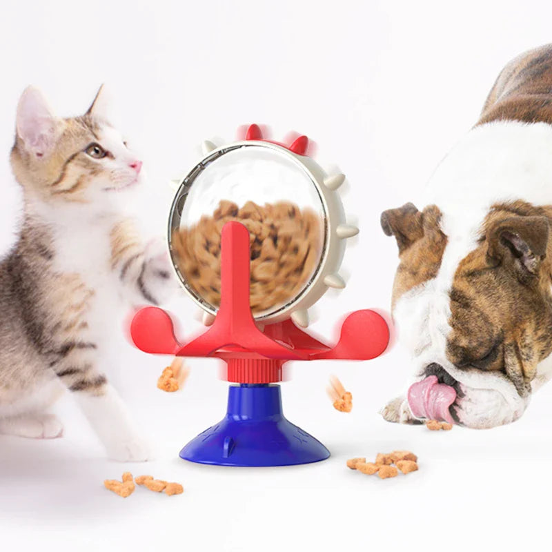 Kattenspeeltjes met stuiterbal – Onvoorspelbare beweging