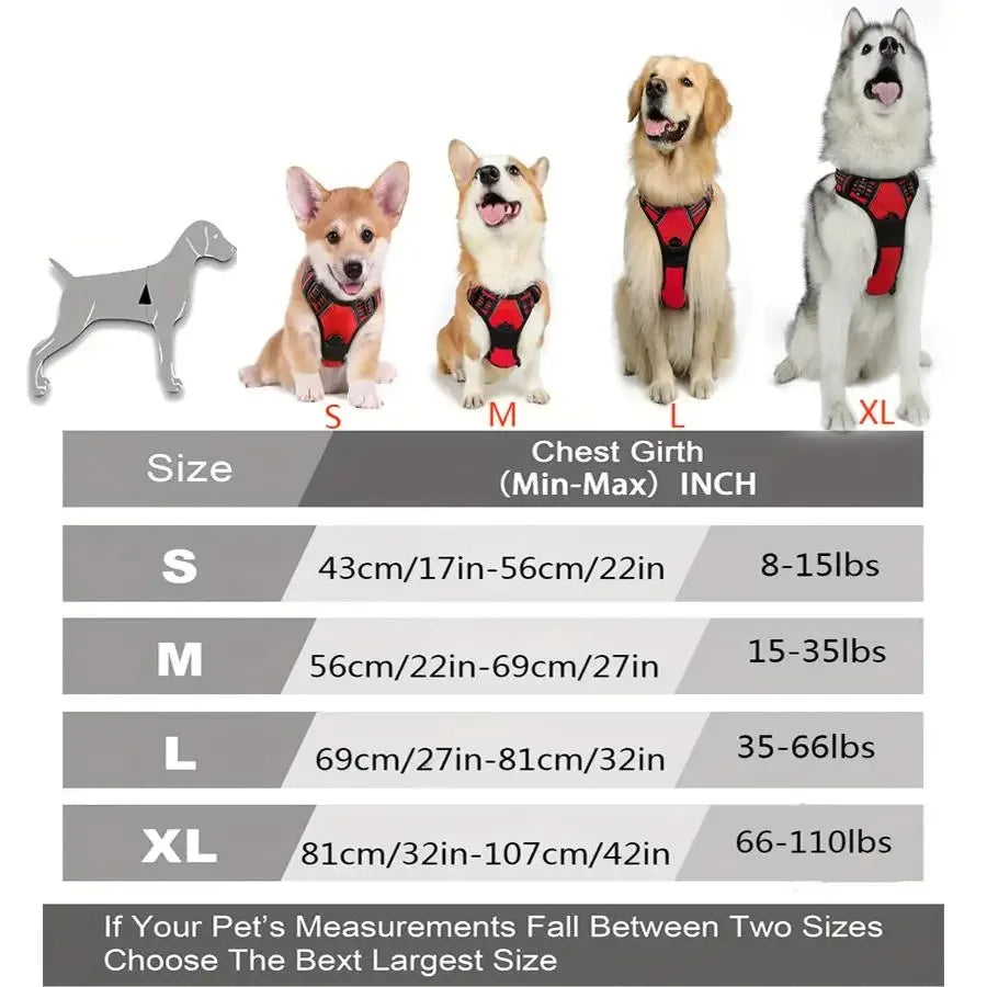 Cadeau hond met speeltjes – Spelen, bijten, genieten