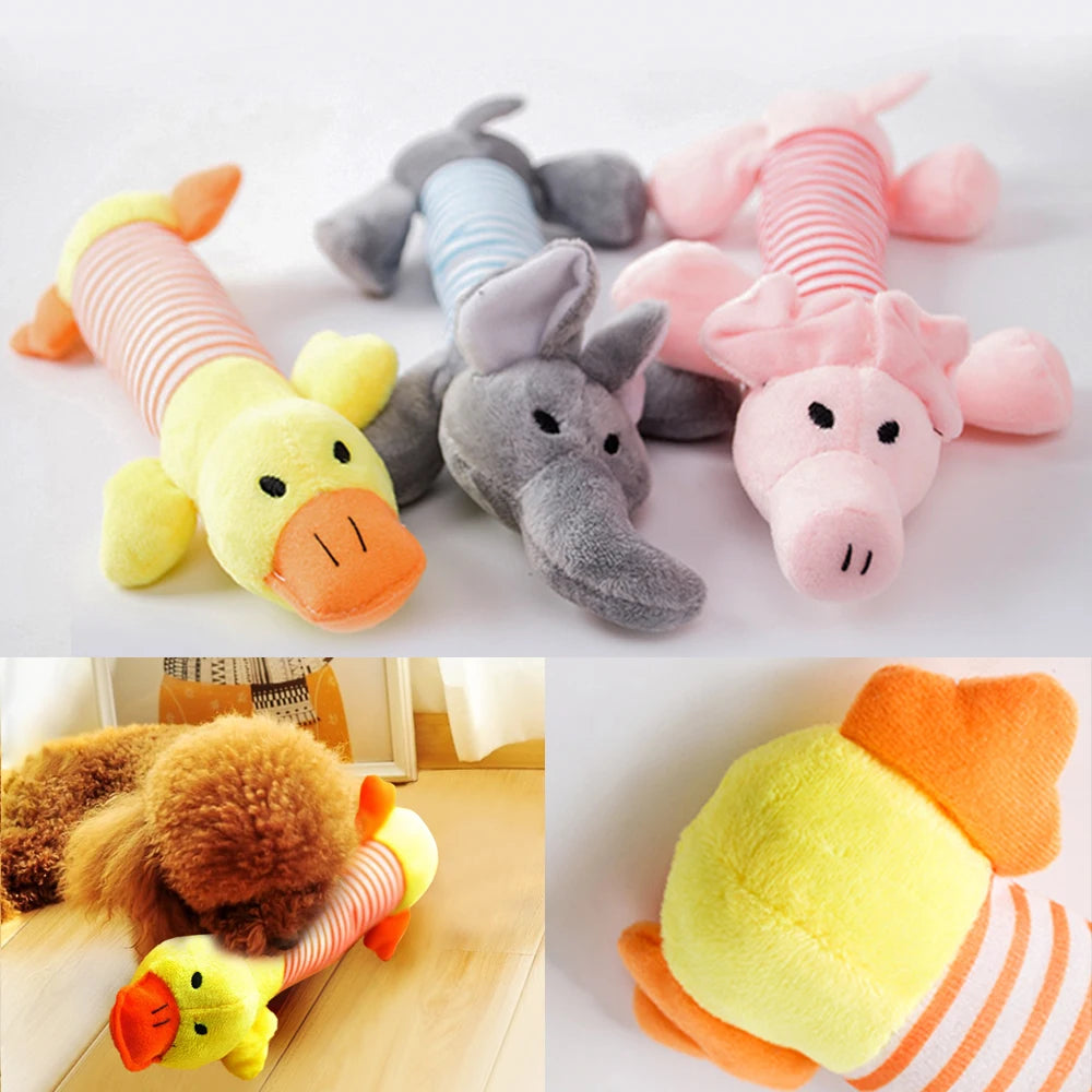 Origineel cadeau hond verjaardag – Creatief en uniek