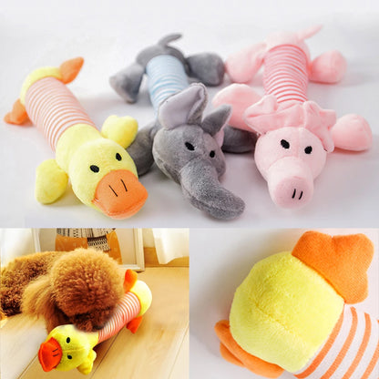 Origineel cadeau hond verjaardag – Creatief en uniek