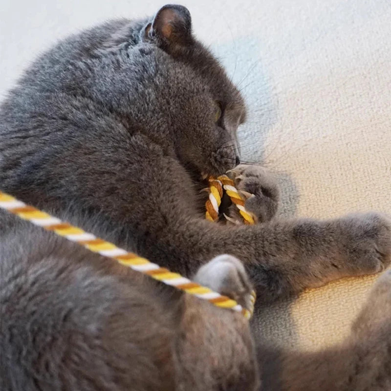 Leuk kattenspeeltje met rubberen ring – Zacht voor tanden