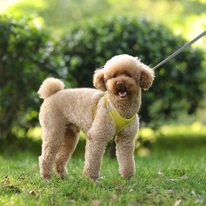Samen cadeau voor hond en eigenaar – Duo verwenpakket