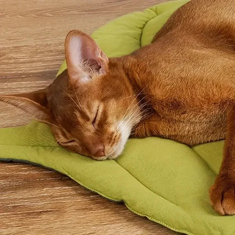 Grote kattenmand met opstaande rand – Voor geborgenheid