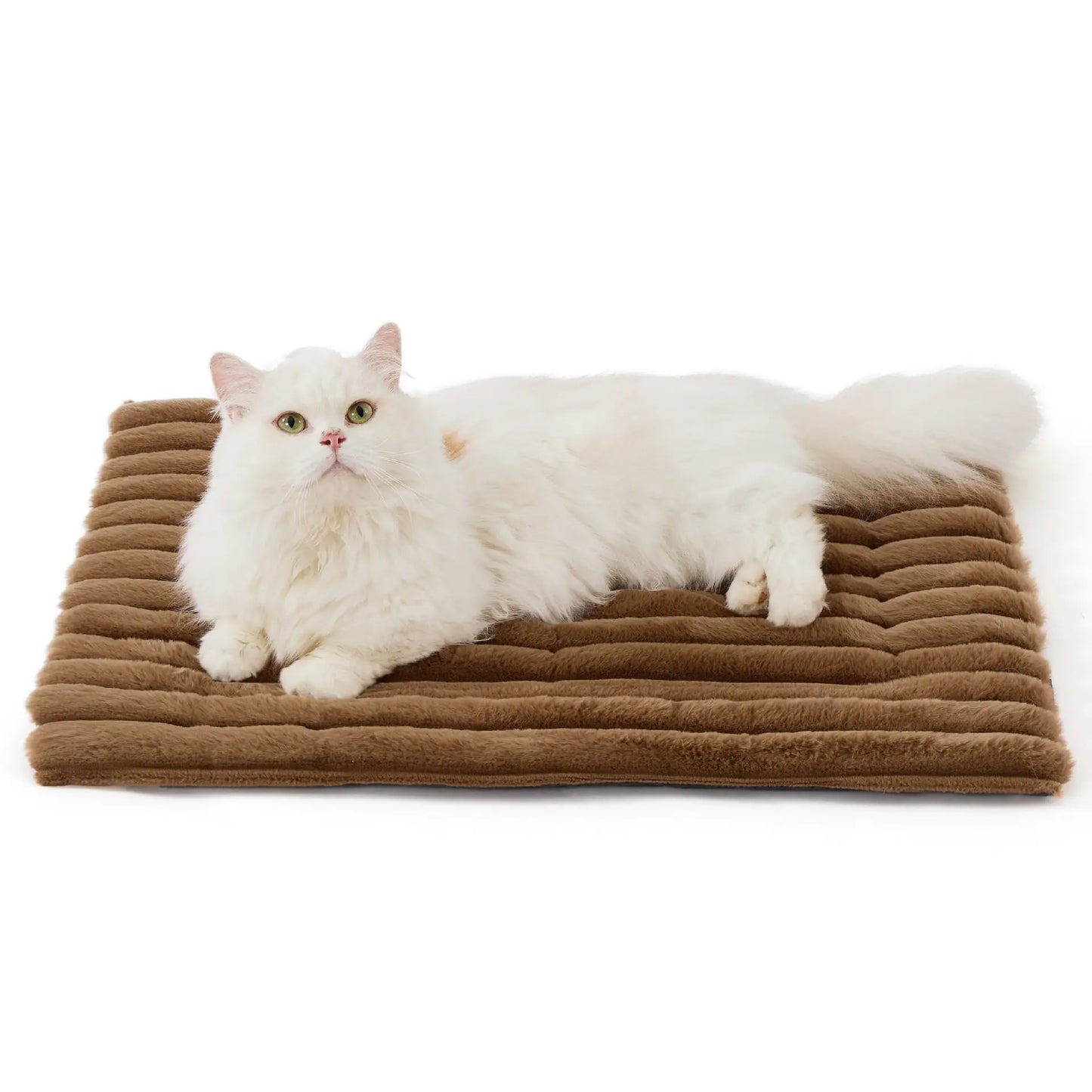 Kattenmand met rits – Makkelijk op te bergen