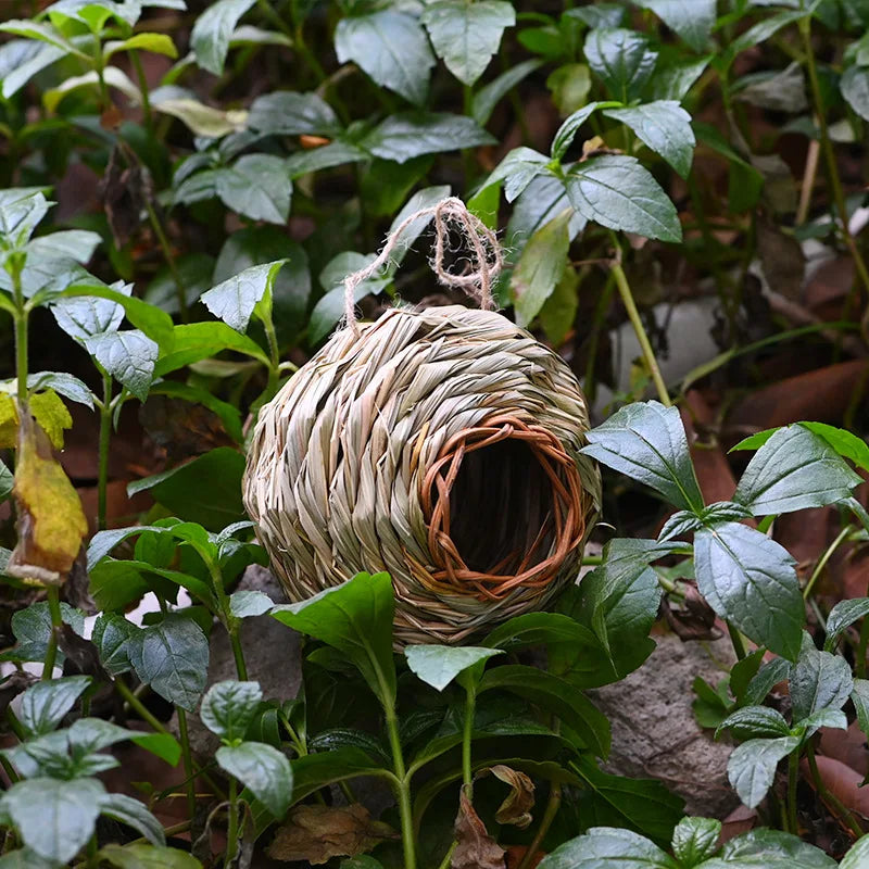 Xenos vogelhuisje met verf – Creatief en vrolijk