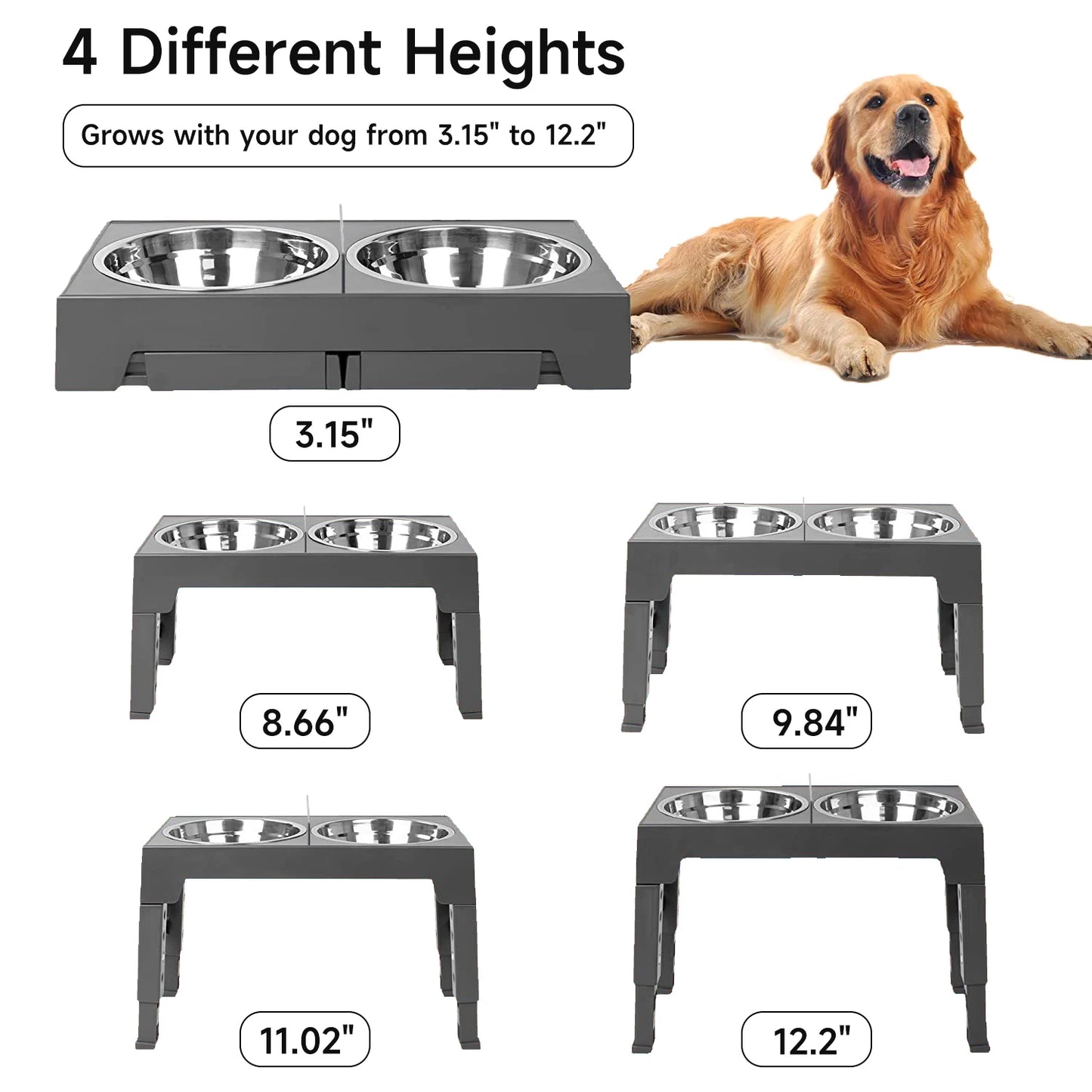 Cadeautips hond verjaardag – Inspiratie voor je beste vriend