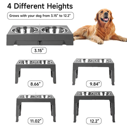 Cadeautips hond verjaardag – Inspiratie voor je beste vriend