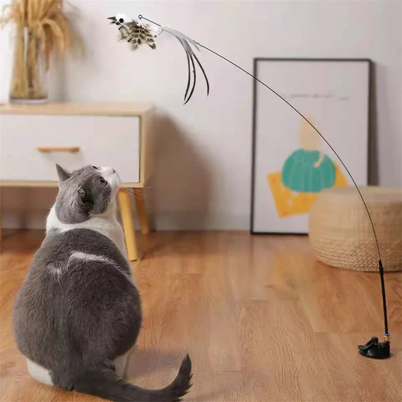 Kattenspeeltjes Action met kleurrijke prints – Stimulerend en leuk