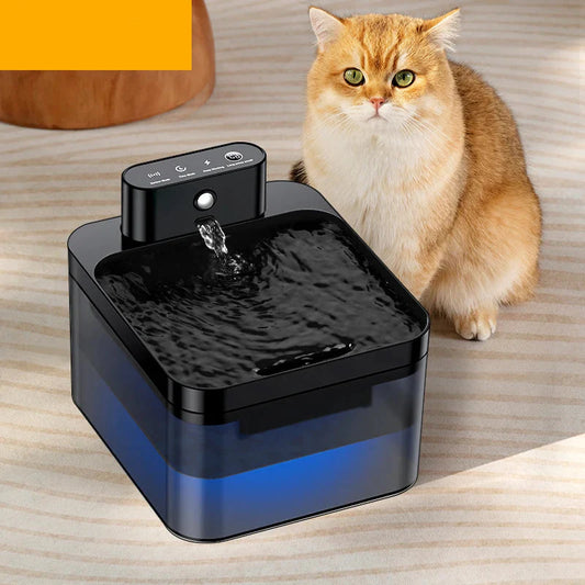 Water fontein kat met easy clean systeem – Praktisch in onderhoud