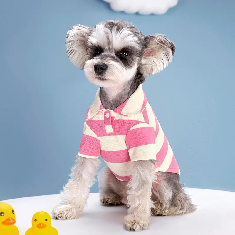Puppy cadeau verjaardag – Veilig en vrolijk