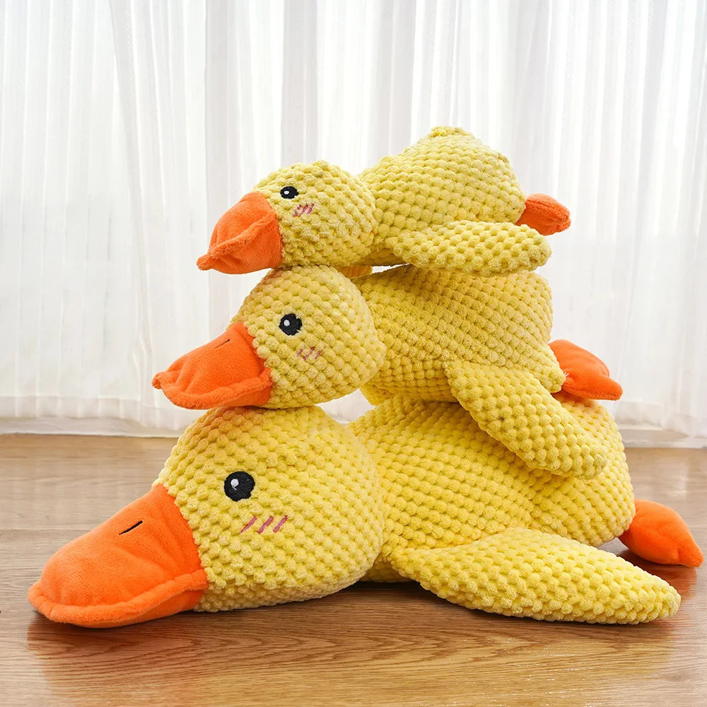 Samen cadeau voor hond en eigenaar – Verbonden plezier