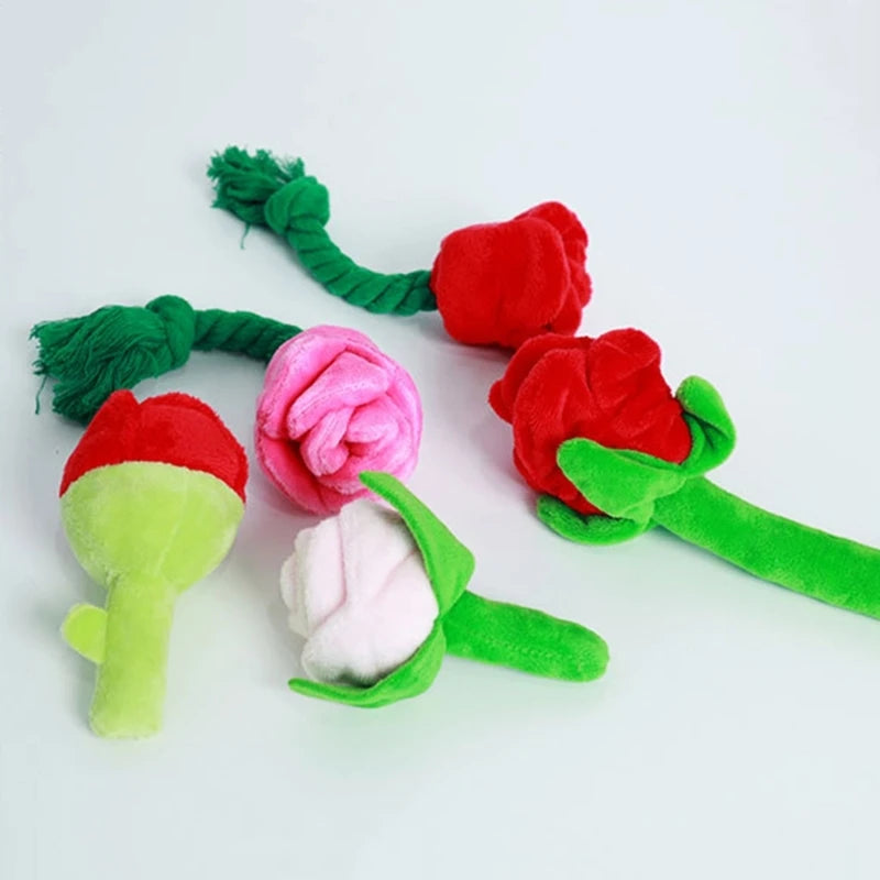 Cadeau hond verjaardag DIY – Creatief en leuk