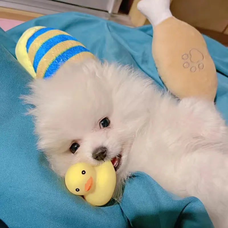 Puppy cadeau verjaardag – Veilig en vrolijk