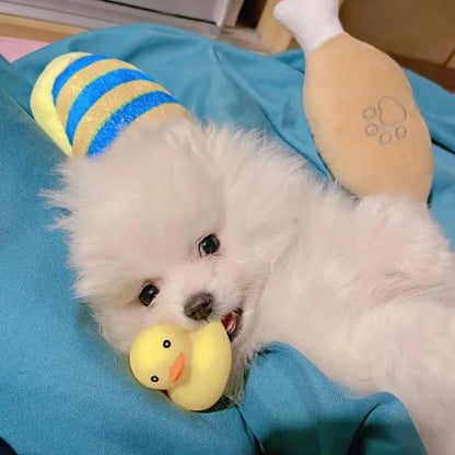 Puppy cadeau verjaardag – Veilig en vrolijk
