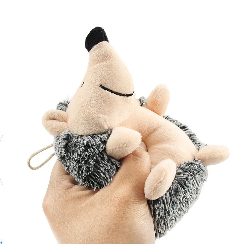 Origineel cadeau hond en baas – Samen genieten