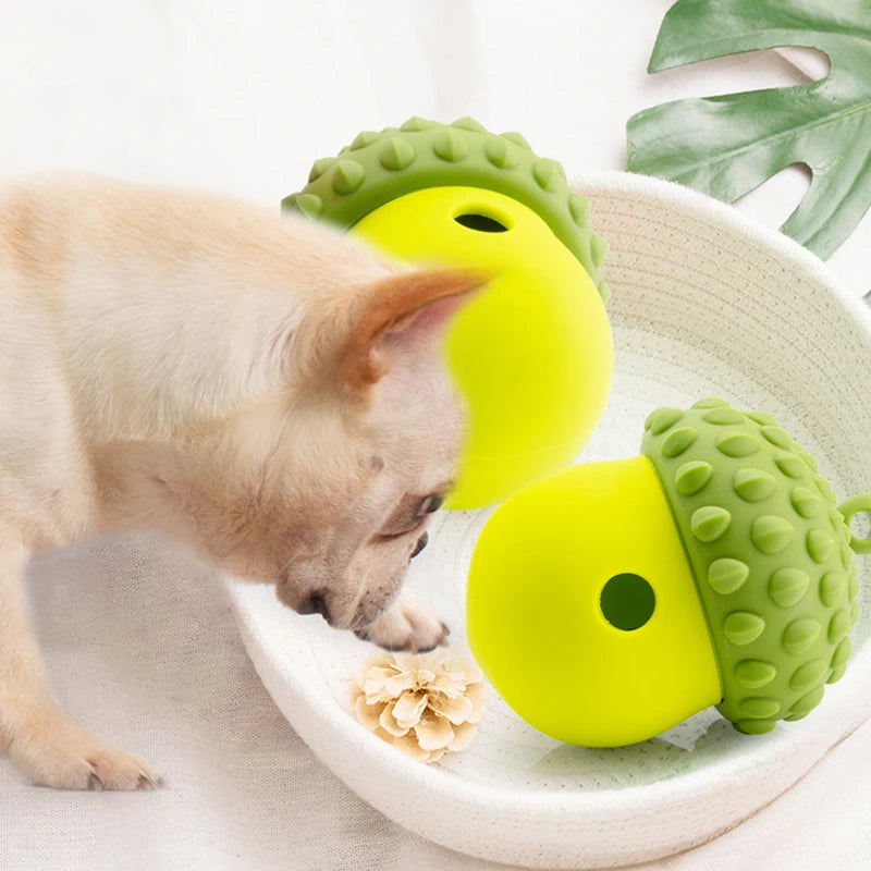 Cadeautip hond – Iets leuks voor elke pup