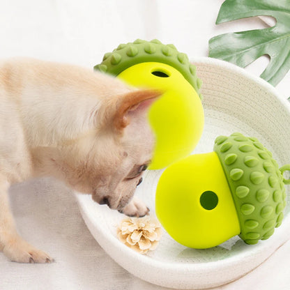 Cadeautip hond – Iets leuks voor elke pup